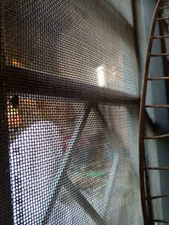 38000. . .     outdoor room or drawing room window special design