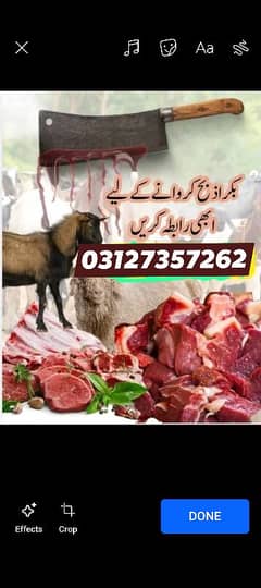 qasai service mandi bahauddin