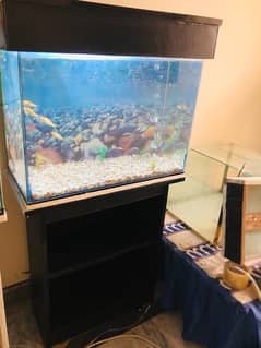 2 feet aquarium > Read add
