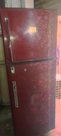 National fridge