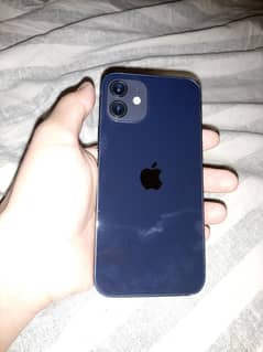 I phone 12