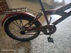 Sports Bicycle 20'