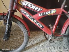 Sport Bicycle 20'