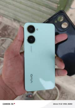 vivo