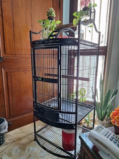 Parrot Cage