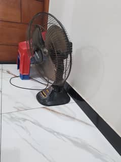 03158351448
