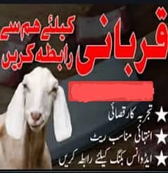 Qurbani Service_Qasai
