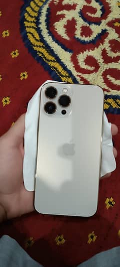 13 pro max