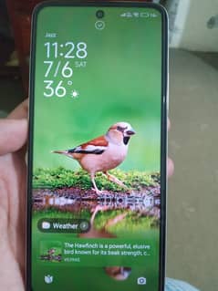Redmi 12