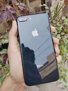 iPhone 8 Plus