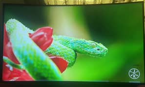 SAMSUNG CURVED SERIES 6 55 inch SMART TV 4K/HD