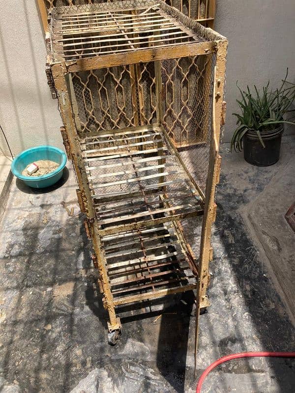 پینجرا مرغیوں کا hen cage 0