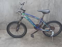 street thawk kids bicycle in blue colors