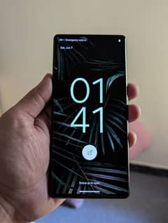Pixel 6Pro Official PTA Approaved