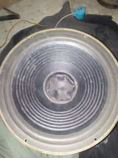 12 inch woffer
