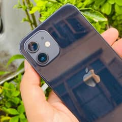 I phone 12