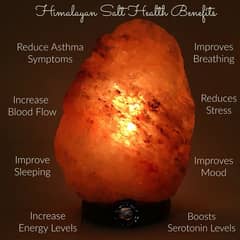 Himalian Salt Lamp RS 550