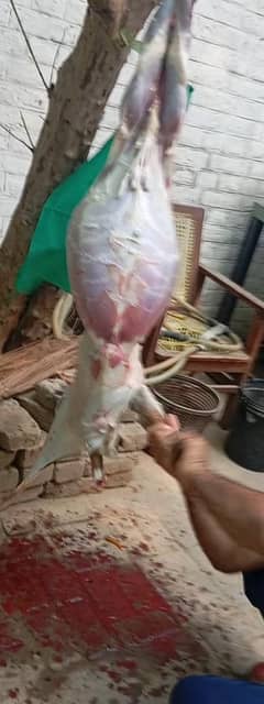 Butcher service