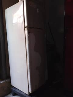 medium size fridge