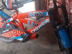 Bicycle (Almost new]
