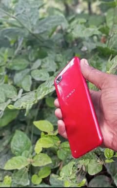oppo