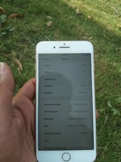 iPhone 8 plus