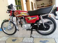 Honda 125 24/25 Model All punjab number