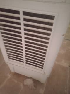 Plastic air cooler
