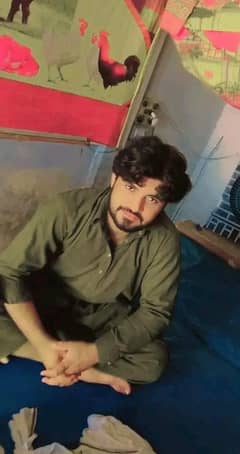 Qasai Available Shahdara - قصائی اویلیبل شاہدرہ