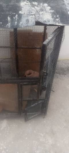 birds cage penjra