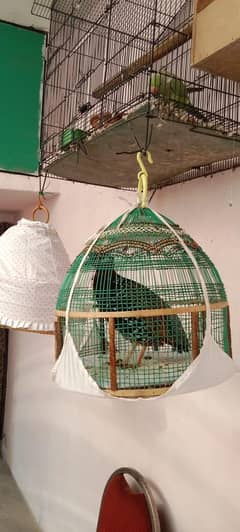 kuhati Tetaar