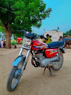 lam