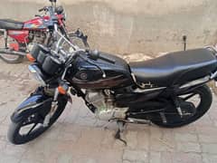 yamaha