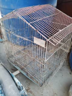 Parrot cage for sale