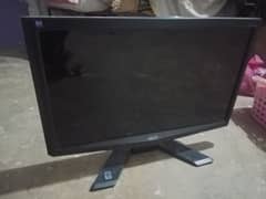 Acer