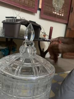 Glass