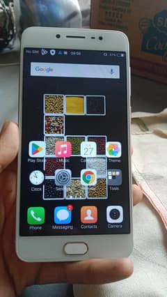 vivo