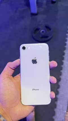 iPhone 8 pta approved