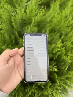 Iphone 11/Jv 64Gb