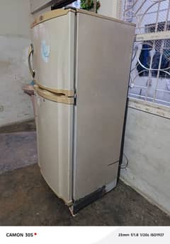 PEL