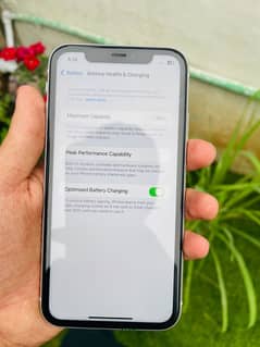 Iphone 11 64 gb JV 10 by 10 Condition 96%Battery Health
