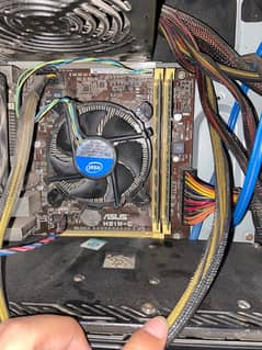 asus 4th gen H81M-C | Xeon 1245 | 12 Gb Ram