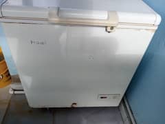 Freezer Hair