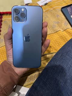 iPhone 12 pro max PTA Approved
