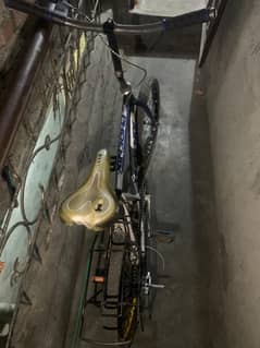 only sale urgent
