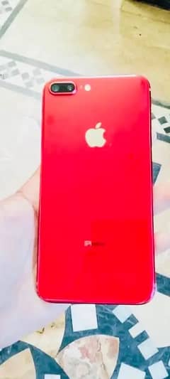 Pta approved  8 plus