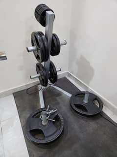 Home Gym Power Pack – Bench, Olympic Bar & 120 kg Plates Ready to lift