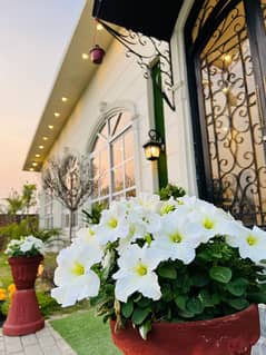 Farmhouse For Rent With Swimming Pool Party Event On  Daily Basis