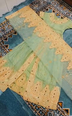 Bridle Lehnga Pistasio color For Sale