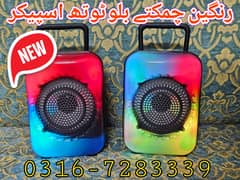 Stereo Speaker System